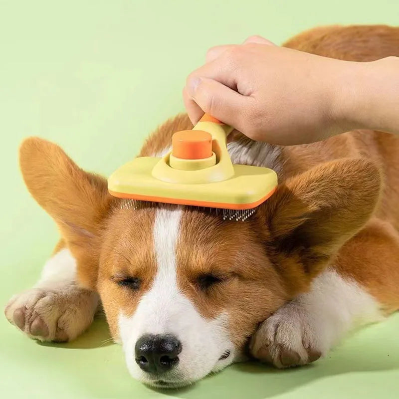 Pet Grooming Brush